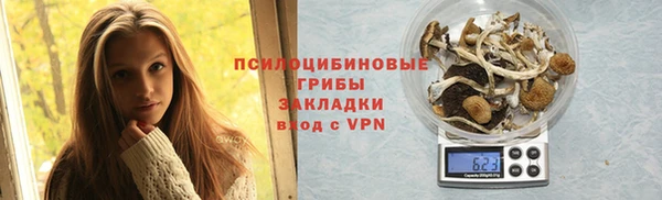 гашик Аркадак