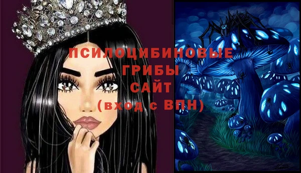 хмурый Армянск