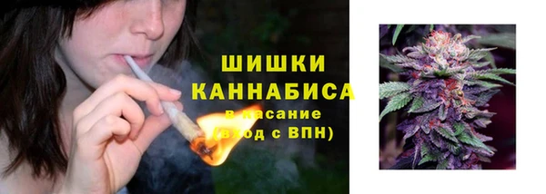 гашик Аркадак