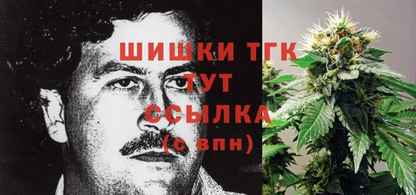 дурь Арсеньев