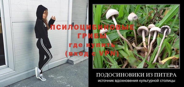 дурь Арсеньев