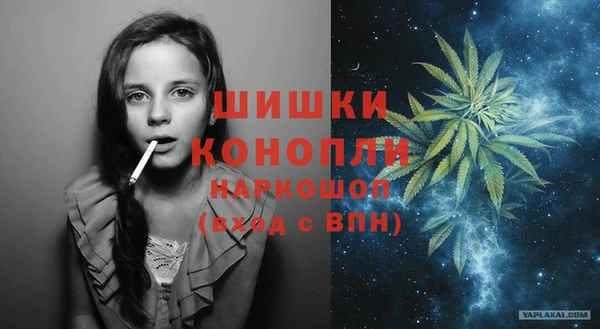 дурь Арсеньев