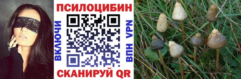 Псилоцибиновые грибы ЛСД  Рошаль 